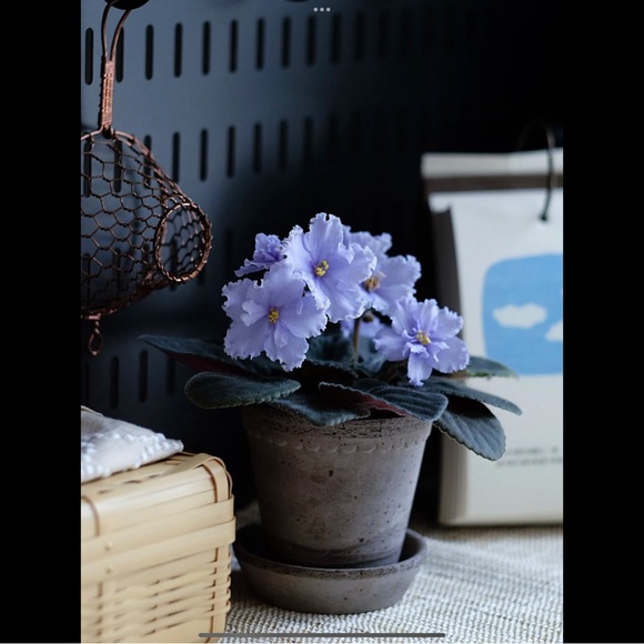 Maje divided light denim - Picture 16 of 16